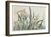 Iris Flowers and Grasshopper, C.1830-31-Katsushika Hokusai-Framed Giclee Print