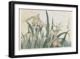Iris Flowers and Grasshopper, C.1830-31-Katsushika Hokusai-Framed Giclee Print