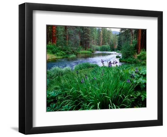 Premium Photographic Print, , large