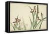 Iris, from the Picture Book of Realistic Paintings of Hokusai (Hokusai Shashin Gafu), C.1814-Katsushika Hokusai-Framed Stretched Canvas