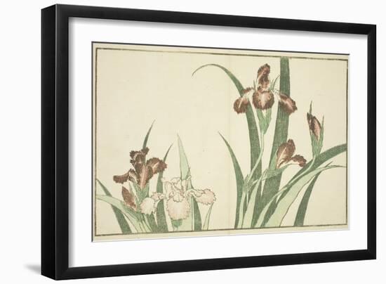 Iris, from the Picture Book of Realistic Paintings of Hokusai (Hokusai Shashin Gafu), C.1814-Katsushika Hokusai-Framed Giclee Print