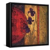 Iris Fusion II-Linda Wacaster-Framed Stretched Canvas