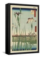 Iris Garden at Horikiri, May 1857-Utagawa Hiroshige-Framed Stretched Canvas