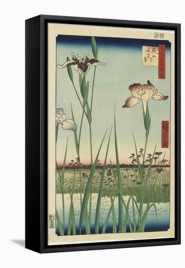 Iris Garden at Horikiri, May 1857-Utagawa Hiroshige-Framed Stretched Canvas