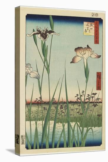 Iris Garden at Horikiri, May 1857-Utagawa Hiroshige-Stretched Canvas