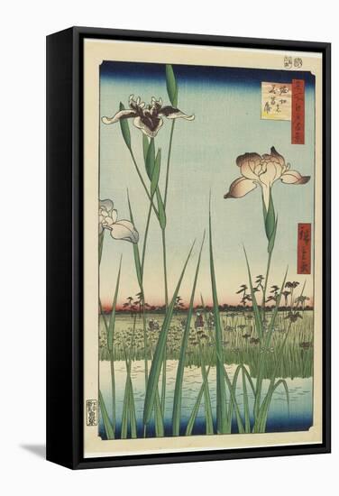 Iris Garden at Horikiri, May 1857-Utagawa Hiroshige-Framed Stretched Canvas