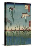 Iris Garden at Horikiri, May 1857-Utagawa Hiroshige-Stretched Canvas