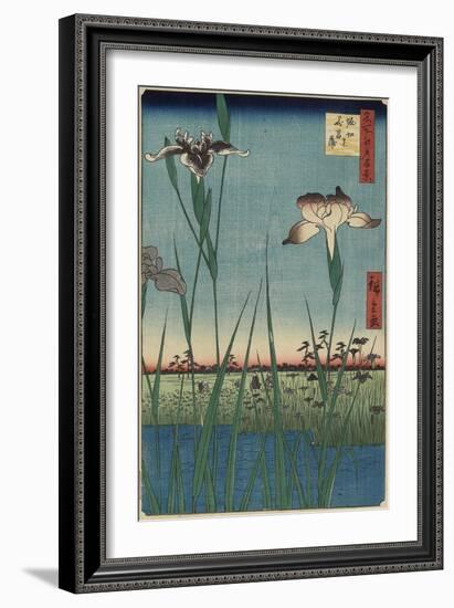 Iris Garden at Horikiri, May 1857-Utagawa Hiroshige-Framed Giclee Print