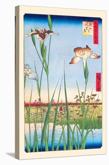 Iris Garden at Horikiri-Ando Hiroshige-Stretched Canvas