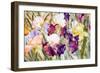 Iris Garden I-Sharon Pitts-Framed Giclee Print