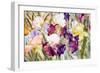 Iris Garden I-Sharon Pitts-Framed Giclee Print