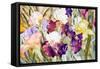 Iris Garden I-Sharon Pitts-Framed Stretched Canvas