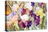 Iris Garden I-Sharon Pitts-Stretched Canvas