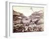 Iris Garden in Tokyo, C.1867-80-Felice Beato-Framed Photographic Print