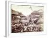 Iris Garden in Tokyo, C.1867-80-Felice Beato-Framed Photographic Print