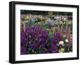 Iris Garden, Salem, Oregon, USA-Adam Jones-Framed Premium Photographic Print