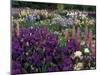 Iris Garden, Salem, Oregon, USA-Adam Jones-Mounted Premium Photographic Print