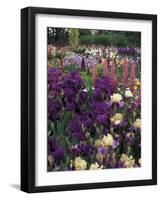 Iris Garden, Salem, Oregon, USA-Adam Jones-Framed Photographic Print