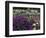 Iris Garden, Salem, Oregon, USA-Adam Jones-Framed Photographic Print