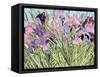 Iris Garden X-Sharon Pitts-Framed Stretched Canvas