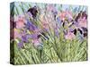 Iris Garden X-Sharon Pitts-Stretched Canvas