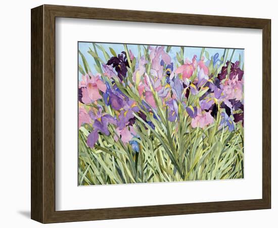Iris Garden X-Sharon Pitts-Framed Giclee Print