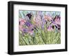 Iris Garden X-Sharon Pitts-Framed Giclee Print