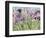 Iris Garden X-Sharon Pitts-Framed Giclee Print