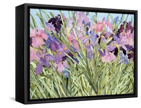 Iris Garden X-Sharon Pitts-Framed Stretched Canvas