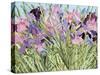 Iris Garden X-Sharon Pitts-Stretched Canvas