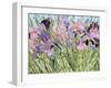 Iris Garden X-Sharon Pitts-Framed Giclee Print