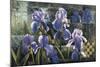 Iris Garden-Fangyu Meng-Mounted Giclee Print