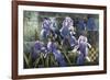 Iris Garden-Fangyu Meng-Framed Giclee Print