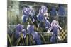 Iris Garden-Fangyu Meng-Mounted Giclee Print