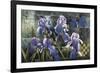 Iris Garden-Fangyu Meng-Framed Giclee Print