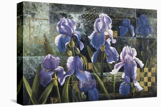 Iris Garden-Fangyu Meng-Stretched Canvas