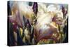 Iris Garden-Elizabeth Horning-Stretched Canvas