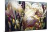 Iris Garden-Elizabeth Horning-Mounted Giclee Print