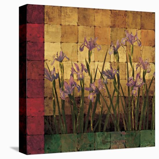 Iris Garden-Marcia Wells-Stretched Canvas