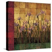 Iris Garden-Marcia Wells-Stretched Canvas