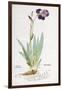 Iris Germanica, 1542-Leonhard Fuchs-Framed Giclee Print