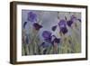 Iris hybrida, 2015-Odile Kidd-Framed Photographic Print