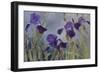 Iris hybrida, 2015-Odile Kidd-Framed Photographic Print