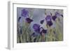 Iris hybrida, 2015-Odile Kidd-Framed Photographic Print