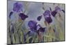 Iris hybrida, 2015-Odile Kidd-Mounted Photographic Print