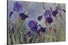 Iris hybrida, 2015-Odile Kidd-Stretched Canvas