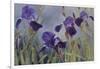 Iris hybrida, 2015-Odile Kidd-Framed Photographic Print