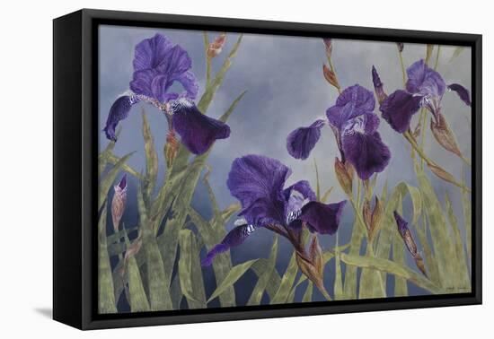 Iris hybrida, 2015-Odile Kidd-Framed Stretched Canvas