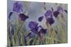 Iris hybrida, 2015-Odile Kidd-Mounted Photographic Print