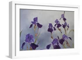 Iris hybrida, 2015-Odile Kidd-Framed Giclee Print